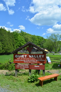 Animal Frolics Exist (Who Knew?): Quiet Valley Living Historical Farm