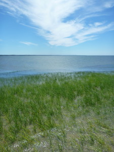 A Perfect Day on Cape Cod Bay (First Encounter Beach, Eastham)