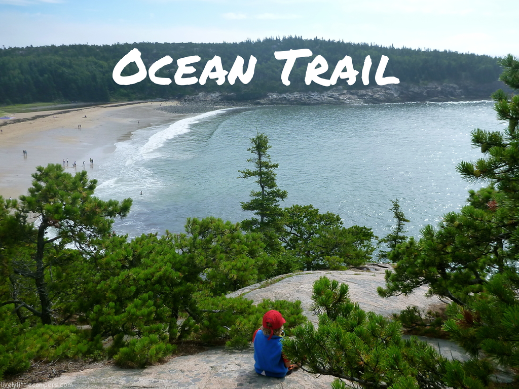 Hiking Acadia with Kids: 5 Amazing Hikes for the Whole Family