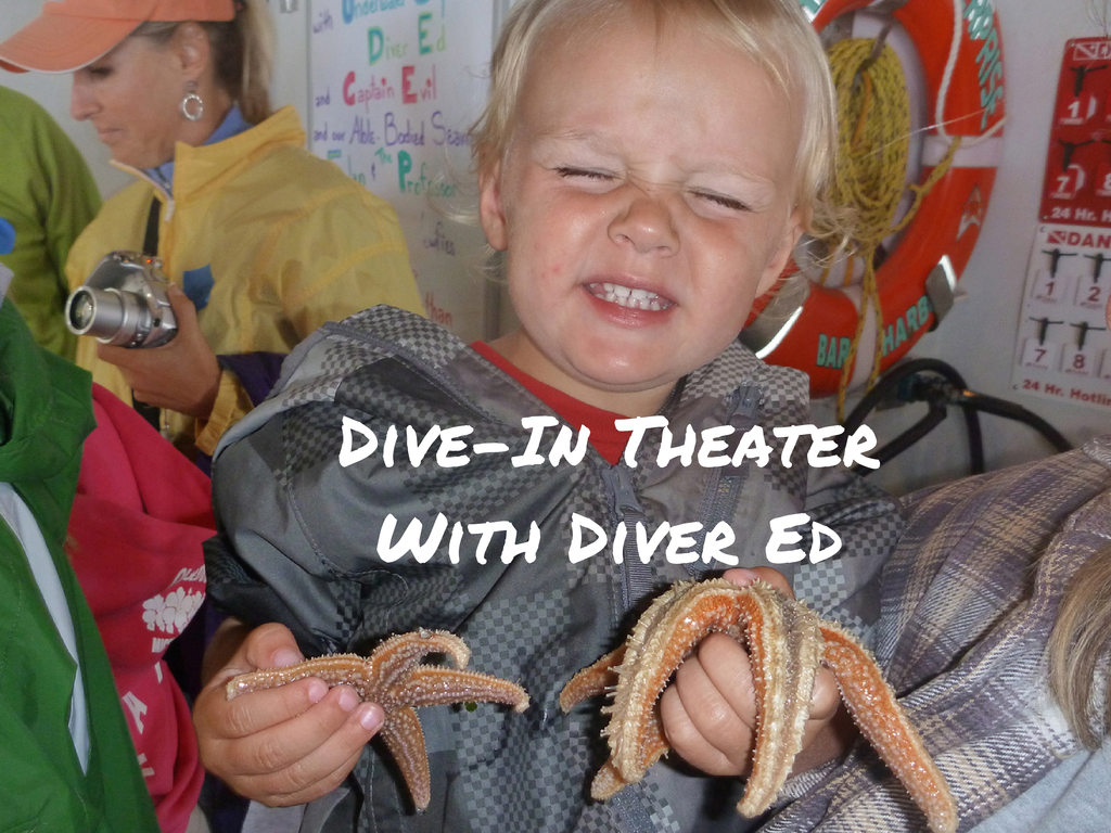 Dive-In Theater with Diver Ed