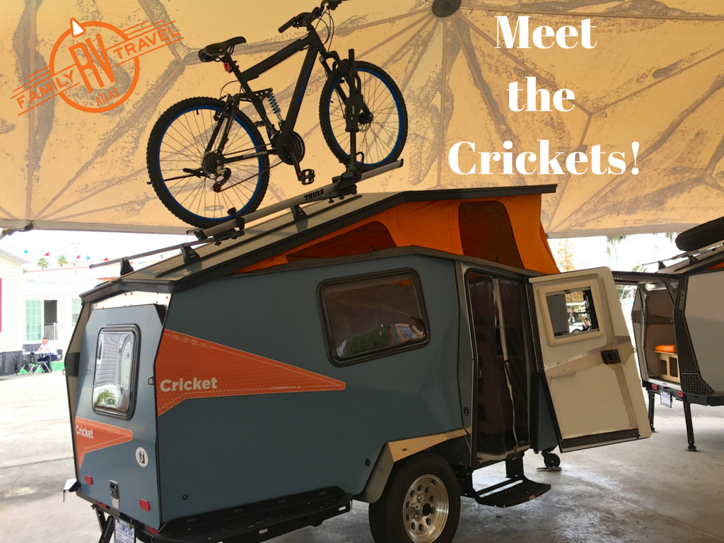 Meet the Crickets! blog